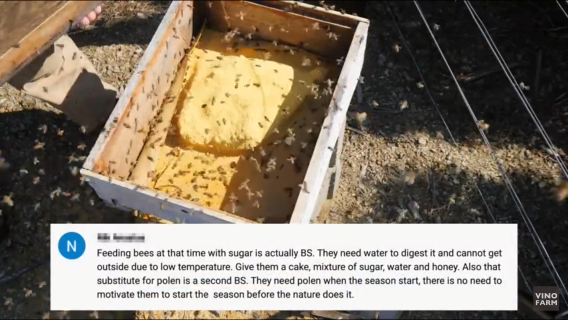 Words of Wisdom för sockersubstitut under vintern för bina