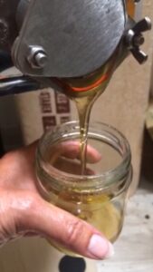 Tappning av honung efter gravitationsfiltrering